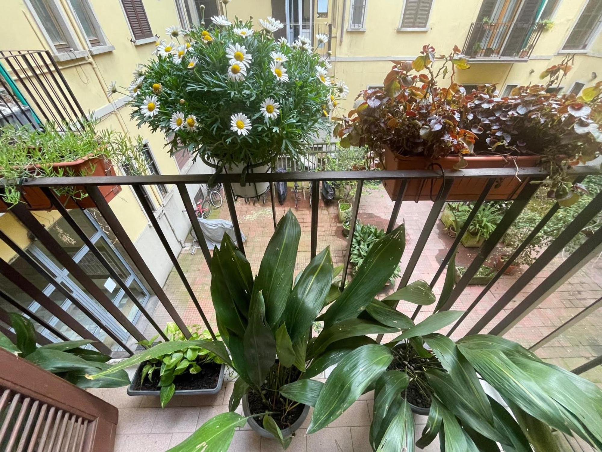 Apartment Milano Central Apartment